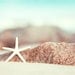 Seashore Photography - starfish beach photography coastal wall art aqua blue ocean decor white nautical - 8x12 Photograph, "Lucky Star"