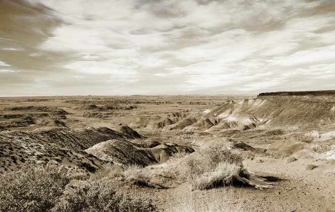 Painted Desert Arizona Photography Print 11x14 Fine Art Southwest Mountains Storm Summer Wilderness Landscape Photography Print.