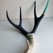 Gold, Aqua and Navy Double Chevron Mule Deer Antler - Large