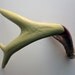 Green, Purple, Gold & Fuchsia Painted Chevron Antler - Large