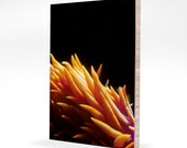 Nudi fine art abstract 8x12 print on eco bamboo modern clean rich bright color home decor