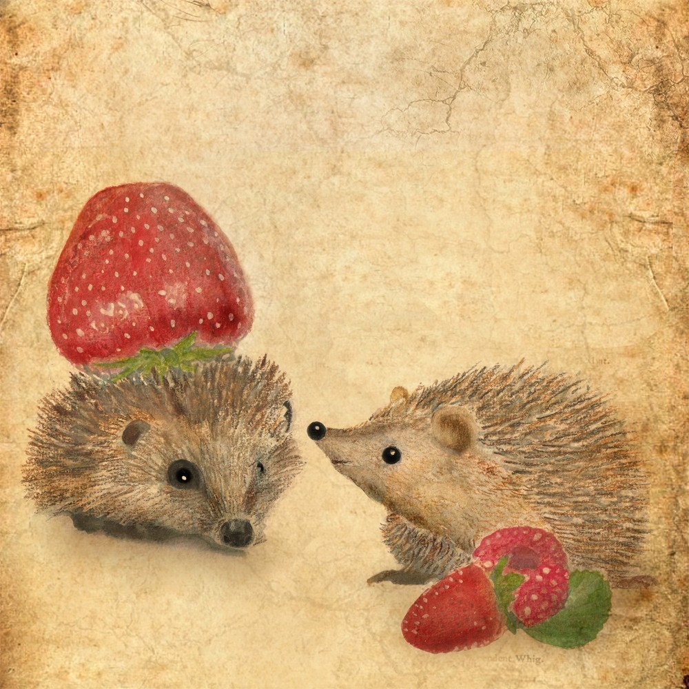 Art card Hedgehog s story VALENTINE ' s DAY