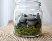 River Stone Soaps in a Jar- Set of 17
