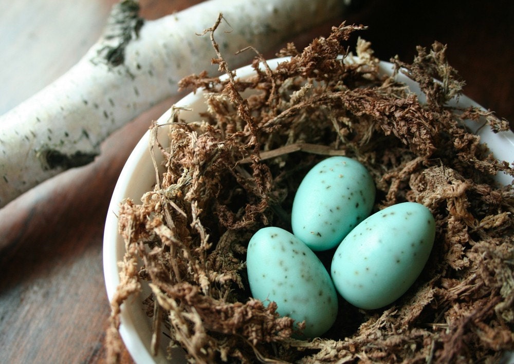 Robin Egg Soap- Set of 3