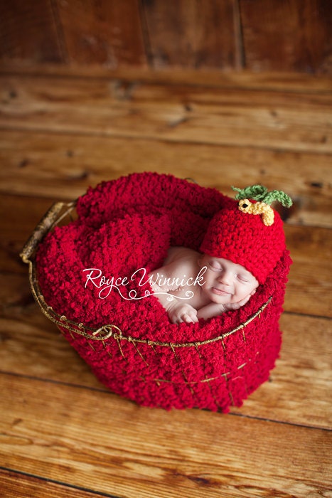 Apple Beanie Baby Crocheted Hat  Photography Prop Newborn 0-3 months 3-6 months