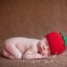 Tomato Hat Baby Photography Prop