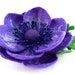Handcrafted Felted Brooch Violet Anemone