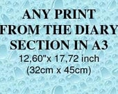 Any Print from the Diary Section in A3 -12,60"x 17,72 inch (32cm x 45cm)