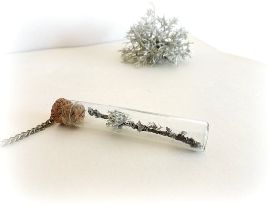 Lichen on twig -  vial necklace Botanical specimen curiosity bottle real preserbed plant flower mint green grey Gift for her