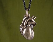 Anatomical Heart Necklace Bronze Anatomical Heart Pendant on 24" Gunmetal Chain