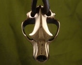 Bear Skull Necklace Bronze Cave Bear Skull Pendant on Leather - Bear Jewelry