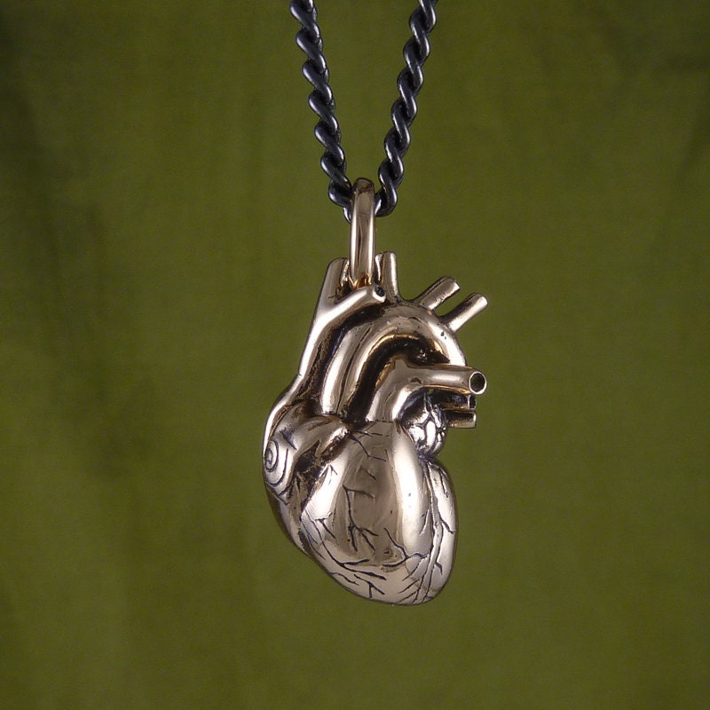 Anatomical Heart Necklace Bronze Anatomical Heart Pendant on 24" Gunmetal Chain