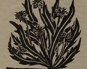 dandelion patch