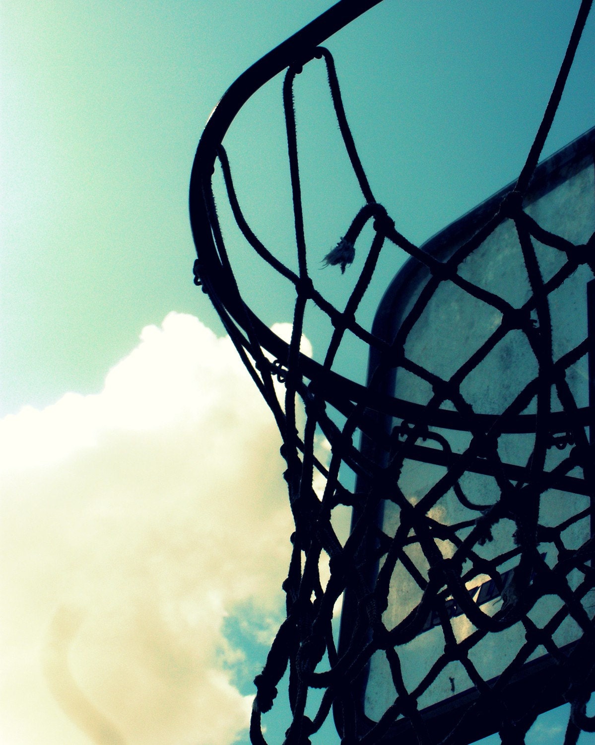 Basketball Hoop - Metallic - Fine Art Photography - 8x10