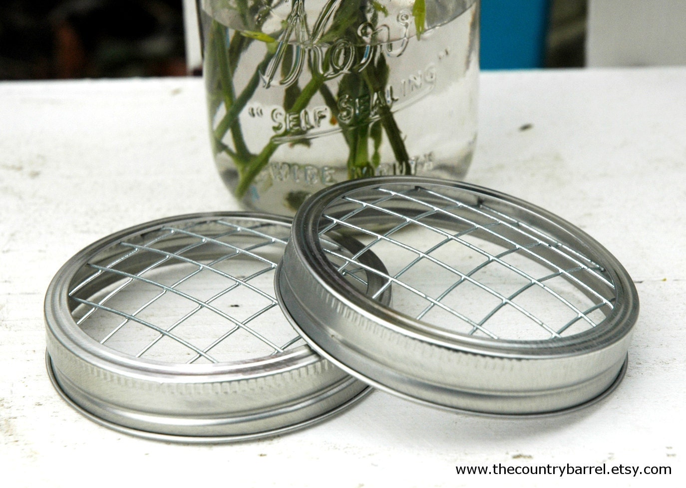 Wide Mouth Mason Jar Flower Frog Lids - Set of 2 - Upcycled DIY Flower Arrangers or Potpourri Lids