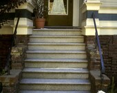 Dalmatian at the steps