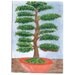 ACEO Original Watercolour - Bonsai Tree - 3