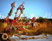 Driftwood Christmas Tree, 5x7 Fine Art Photography Print