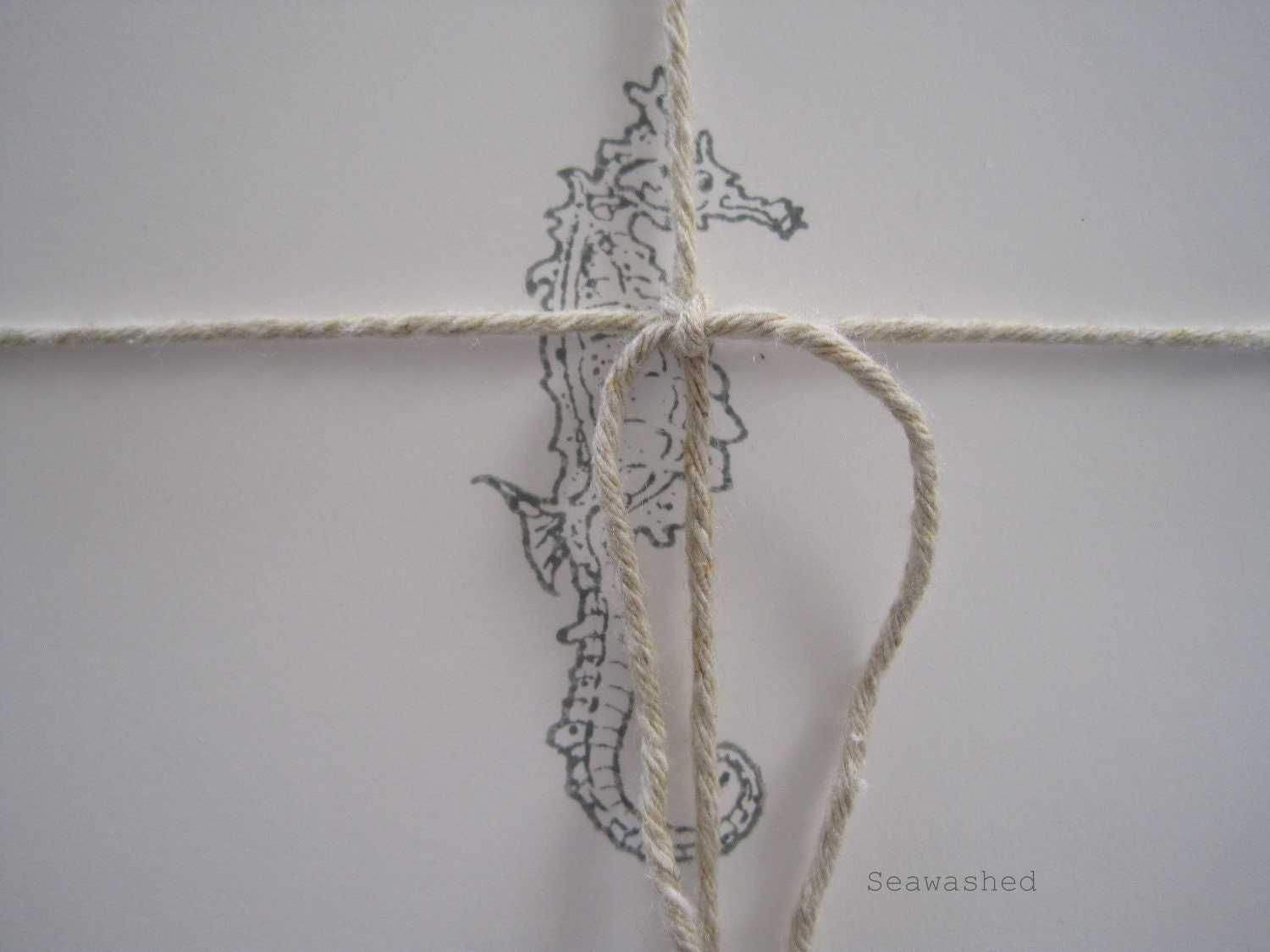 Seahorse Notecards(set of 8)