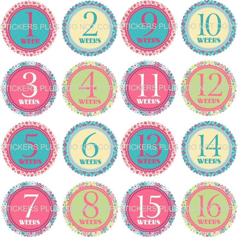 Baby First Year Weekly Growth Milestone Onesie Stickers Girl or Boy 1 - 52 Weeks FREE Priority Shipping Upgrade YOU CHOOSE Any Set