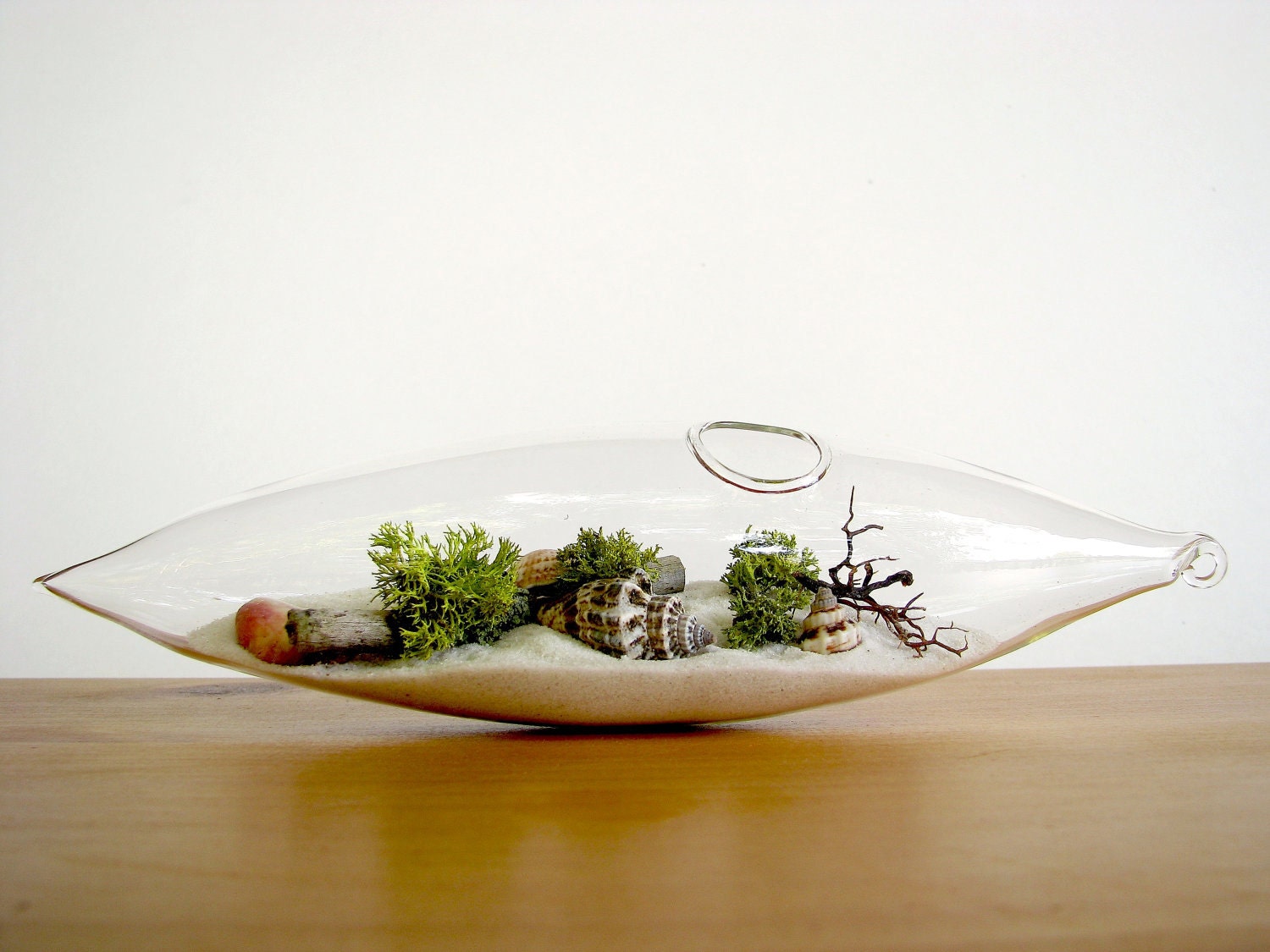 Modern Beach Vessel Lichen Moss Terrarium: white or black sand