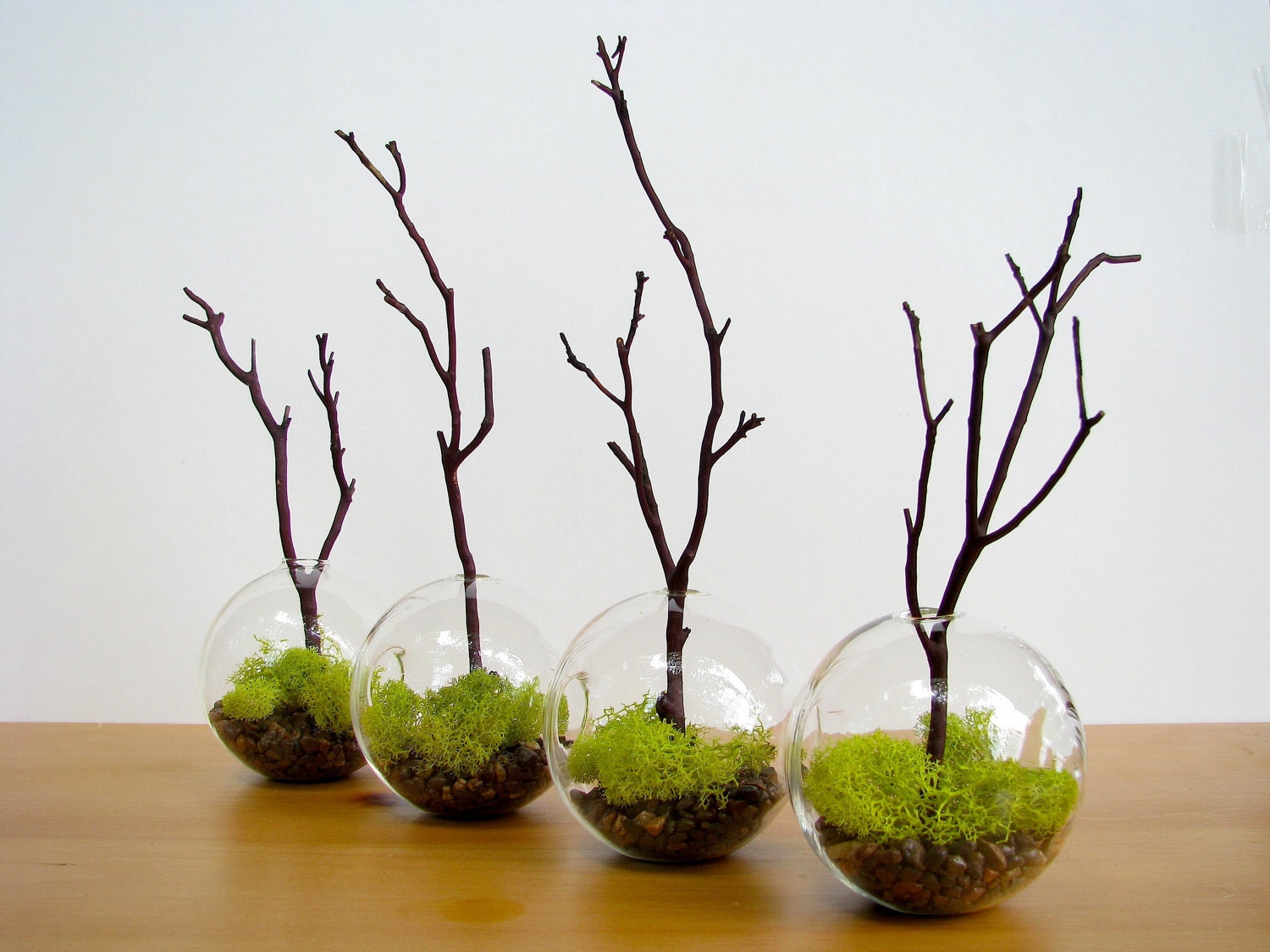 4-Globe Manzanita Forest Moss Terrarium