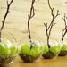 4-Globe Manzanita Forest Moss Terrarium