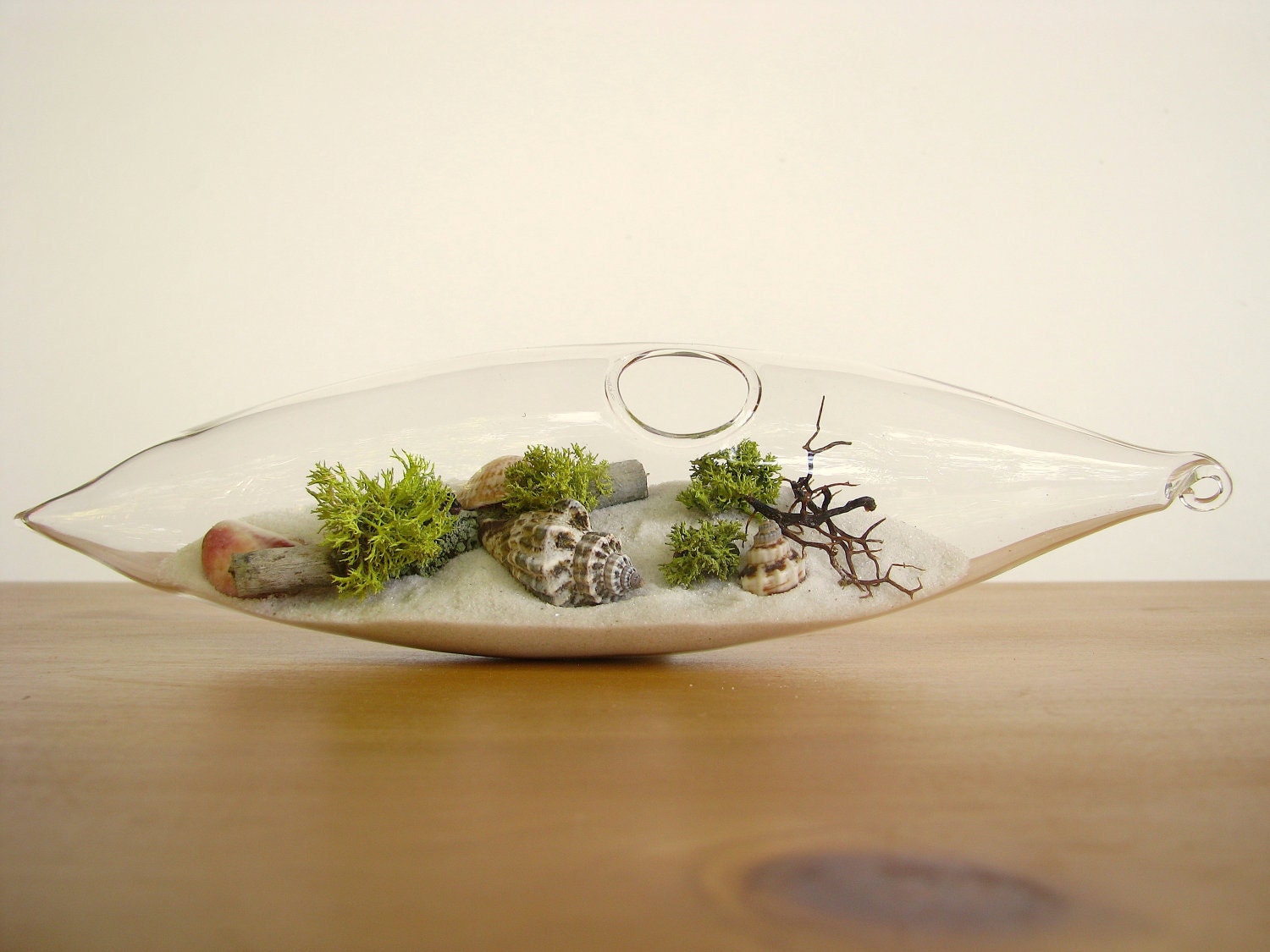 Modern Beach Vessel Lichen Moss Terrarium: white or black sand