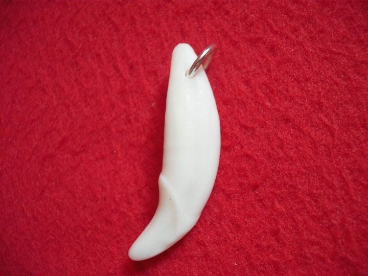 Wolf tooth Pendant - shaman druid witch Totem fetish magic charm pagan