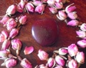 Sea bean (sea heart) seed - Love charm magic spells pagan witch wicca