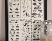 Vintage butcher chart, beef and veal meat illustration 18x24