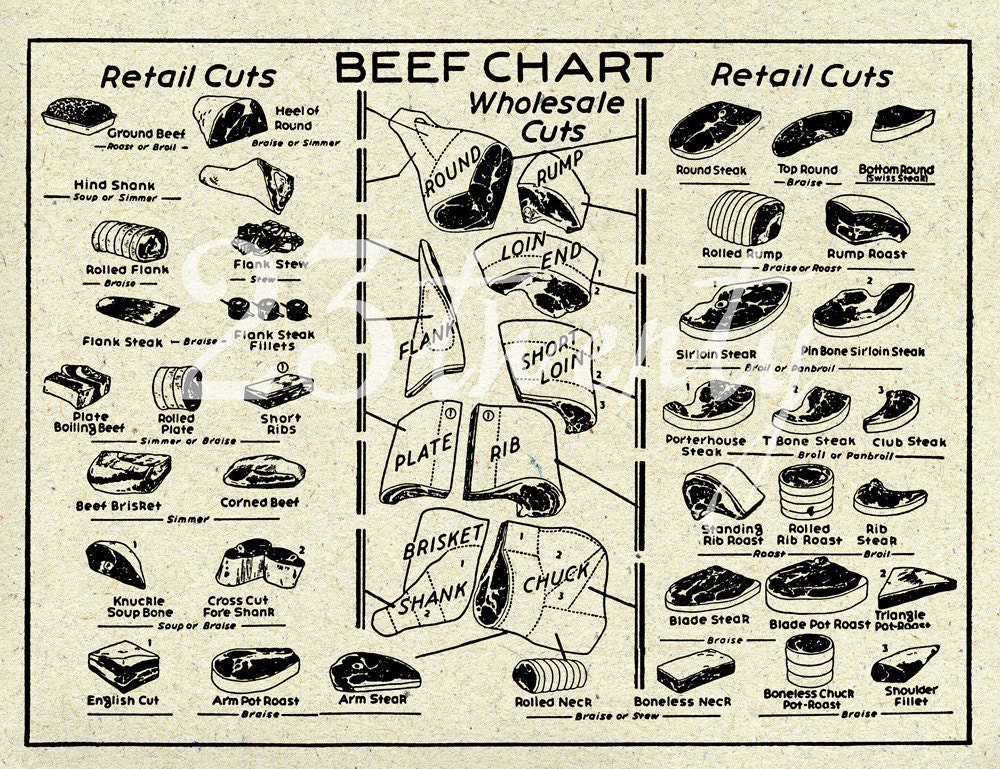 Vintage beef butcher chart, meat illustration 18x24
