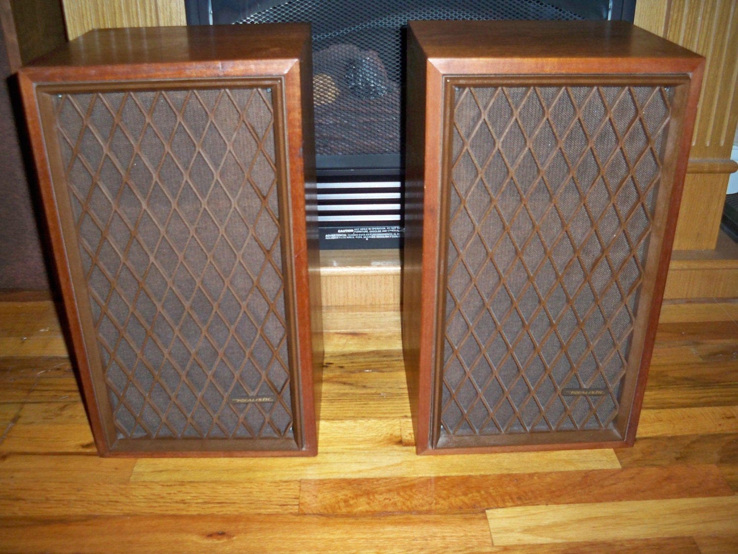 Vintage Realistic Speakers