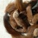 Vintage GENUINE MINK TAILS for crafts, sewing