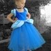 Cinderella Costume Tutu Dress