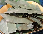 BAY LEAF  1 oz Culinary Pickling Moth Repellent