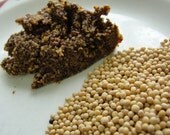 MUSTARD SEEDS Yellow 1/4 pound