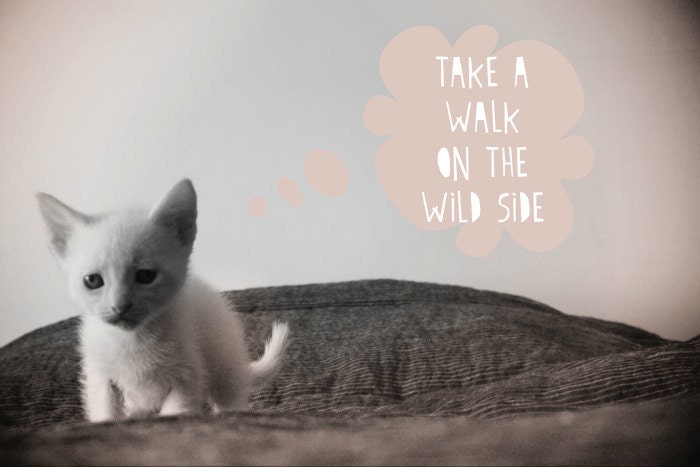 Wild side Print