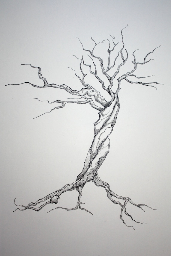 Items similar to Original Ink Drawing of a Twisted Tree 11"x14" on Etsy