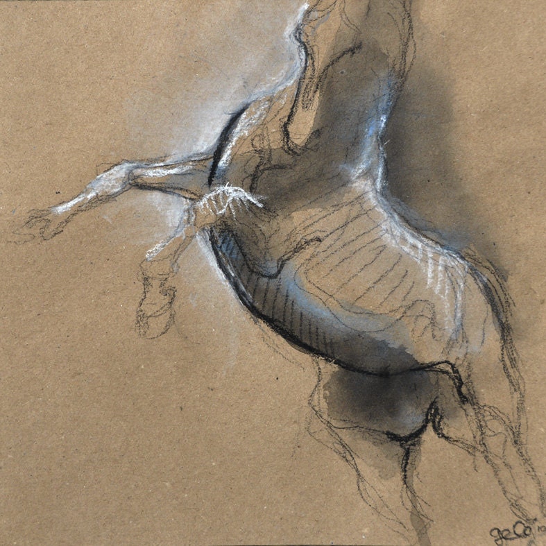 OOAK Equine nude XII Drawing
