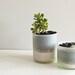 Recycled Wine Bottle Succulent Planters - Size Small