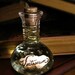 Veritaserum - Harry Potter Potion Bottle.