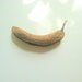 Rotten Banana / Food Photography --Food Still Life-Kitchen Decor-Modern and Minimal Art 11x14