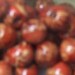 Brown and Red Floral Design Wood Beads Package of 80 8mm WB08