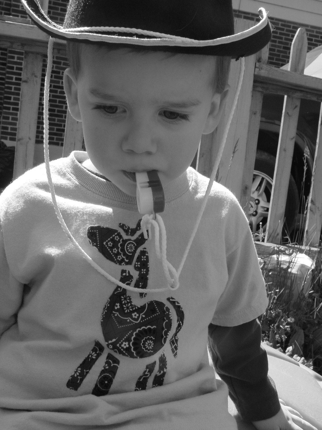 Hand sewn infant or toddler horse t shirt
