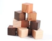 12-piece natural wooden blocks - colorful hardwood building block set with homegrown organic finish, montessori baby, eco-friendly for kids