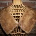 Fur collar