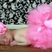 Little Miss Easter Bunny Tutu