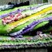 Modern Art Rag Quilt "Flowers and Colors"