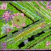 Modern Art Rag Quilt "Flowers and Colors"